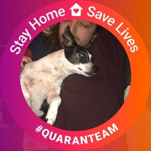 Meet your Posher, Barbara